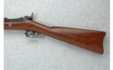 Springfield U.S. Model 1873 .45-70 Trapdoor - 7 of 7