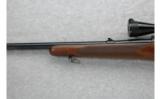 Winchester Model 70, .270 WIN - 6 of 7