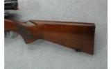 Winchester Model 70, .270 WIN - 7 of 7