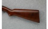 Winchester Model 61, .22
S,L, or LR - 7 of 7