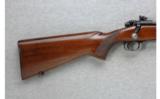 Winchester Model 70 .257 Roberts (1951) - 5 of 7