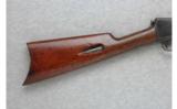 Winchester Model 03 .22 Cal. Automatic - 5 of 7