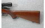 Ruger Model 77/22 .22 Long Rifle - 7 of 7