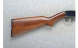Winchester Model 61,.22 WMRF - 5 of 7