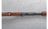 Winchester Model 61 .22 S.L. or L.R. - 3 of 7
