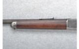 Winchester Model 1886 .35-56 W.C.F. - 6 of 7