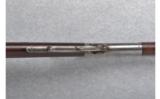 Winchester Model 1886 .35-56 W.C.F. - 3 of 7
