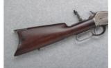 Winchester Model 1886 .35-56 W.C.F. - 5 of 7