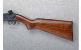 Winchester Model 61 .22 Win. Mag. R.F. - 7 of 7