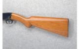 Browning Model 22
Trombone .22 Long Rifle - 7 of 7