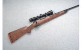 Winchester Model 70 7mm Mauser (7x57 Only) Cabela's Ltd. Ed. - 1 of 7