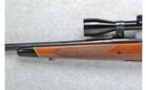 Winchester Model 70 .30-06 Sprg. - 6 of 7
