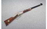 Winchester 9422 .22 S,L & L.R. BSA Commemorative - 1 of 8