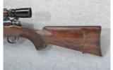 Cooper Model 54 .250 Savage - 7 of 7