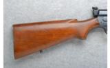 Remington Model 81 The Woodsmaster .300 Sav. - 5 of 7