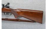 Winchester Model 70 .30-06 Sprg. - 6 of 6