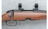 Styer Model Mountain Rifle .260 Rem. - 2 of 7