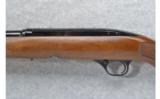 Winchester Model 100 .284 Win. - 4 of 7