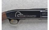 Browning ~ BPS Field Ducks Unlimited ~ 12 Ga. - 2 of 7