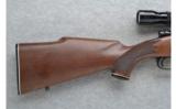 Winchester Model 70 .22-250 Cal. - 5 of 7
