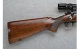Winchester ~ 70 ~ .300 H&H Magnum - 5 of 7