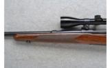 Winchester ~ 70 ~ .300 H&H Magnum - 6 of 7