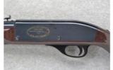 Remington Model Nylon 66 .22 L.R. 150th Anniversary - 4 of 7