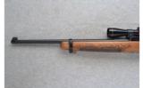 Ruger ~ 10/22 Carbine ~ .22 LR Caliber - 7 of 9