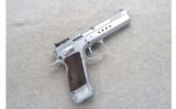 EAA ~ T97 Limited Witness ~ .45 ACP - 1 of 2