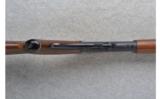 Marlin ~ 336 ~ .30-30 Win. - 5 of 9