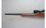 Ruger ~ M77 ~ .243 Win. - 7 of 9