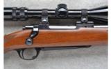 Ruger ~ M77 ~ .243 Win. - 3 of 9