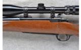 Ruger ~ M77 ~ .243 Win. - 8 of 9