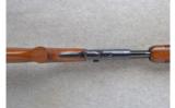 Remington ~ 121 Fieldmaster ~ .22 L.R. ~ Routledge Bore - 5 of 9