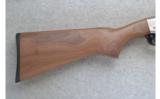 Remington ~ 572 NRA ~ .22 S, L & L.R. - 2 of 9