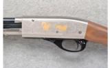 Remington ~ 572 NRA ~ .22 S, L & L.R. - 8 of 9