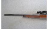 Kimber ~ 82 ~ .22 Long Rifle - 7 of 9