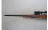 Winchester ~ 70 Classic Featherweight ~ .270 Win. - 7 of 9