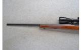 Ruger ~ 77/17 ~ .17 HMR - 7 of 9