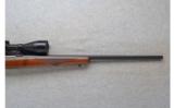 Ruger ~ 77/17 ~ .17 HMR - 4 of 9