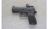 Sig Sauer ~ P320 ~ 9mm - 2 of 2