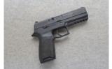 Sig Sauer ~ P320 ~ .45 ACP - 1 of 2