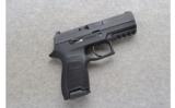 Sig Sauer ~ P320 ~ 9mm - 1 of 2