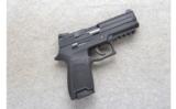 Sig Sauer ~ P250-22 ~ .22 LR - 1 of 2