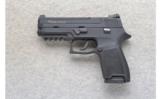 Sig Sauer ~ P250-22 ~ .22 LR - 2 of 2