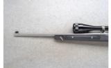 Ruger ~ All-Weather 77/22 ~ .22 LR - 7 of 9