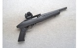 Ruger ~ 22 Charger ~ .22 LR - 1 of 2
