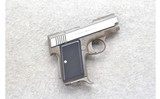 AMT ~ Back Up ~ .380 ACP - 1 of 2