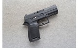 Sig Sauer ~ P320 ~ 9mm - 1 of 2