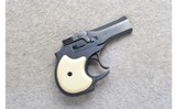 Hi-Standard ~ DM-101 Derringer ~ .22 Magnum - 1 of 3
